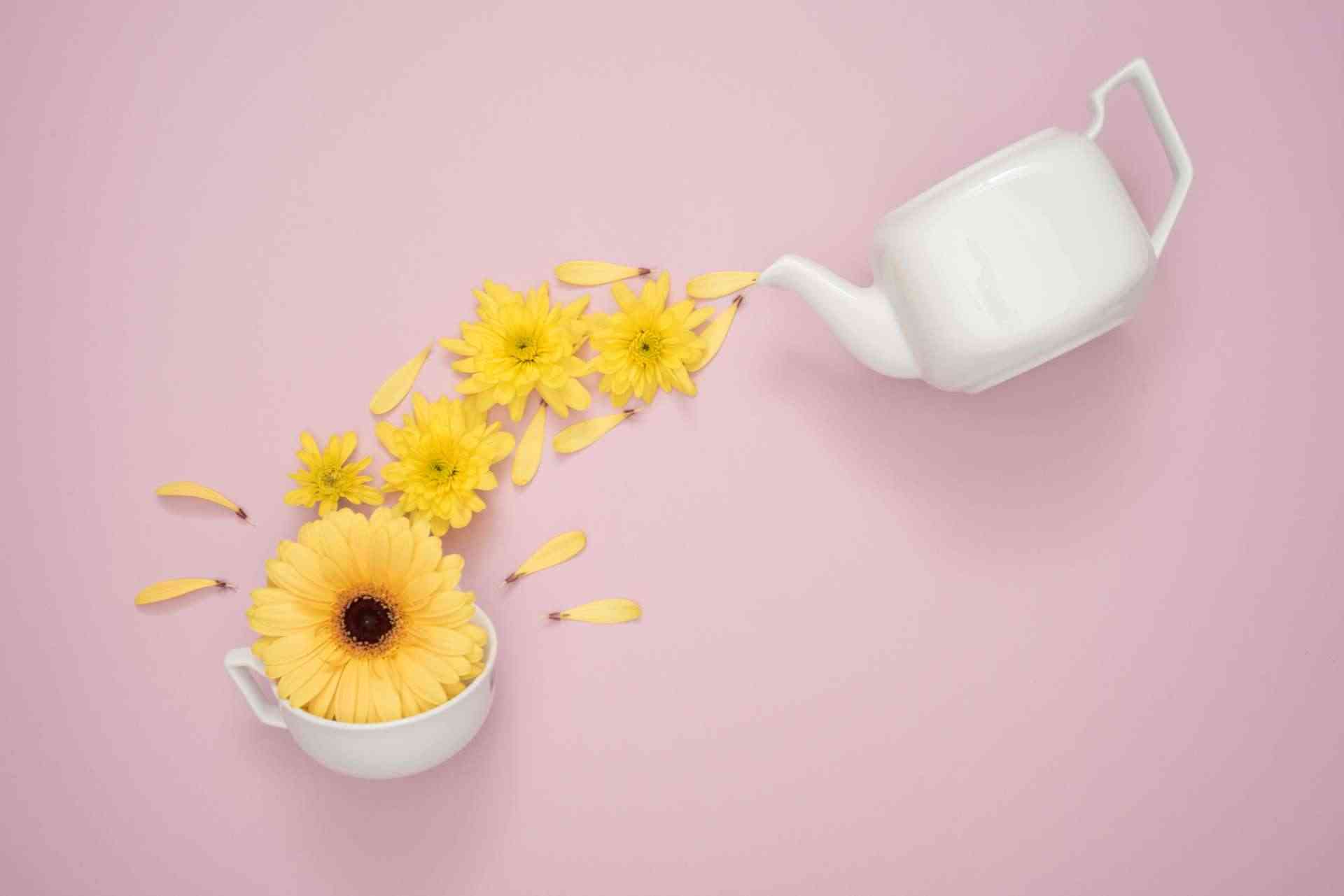 Love Tea